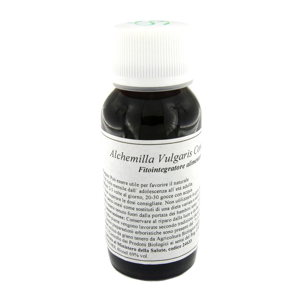 19N ALCHEMILLA VULGARIS COMP