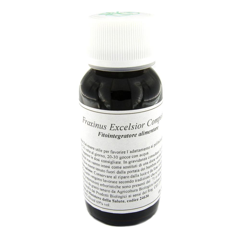 22N FRAXINUS EXCELSIOR COM LVS