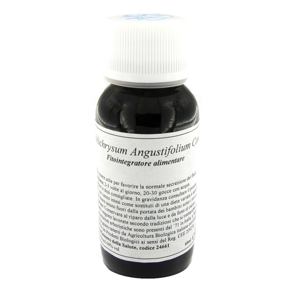 82C EPILOBIUM ANGUSTIF COM LVS