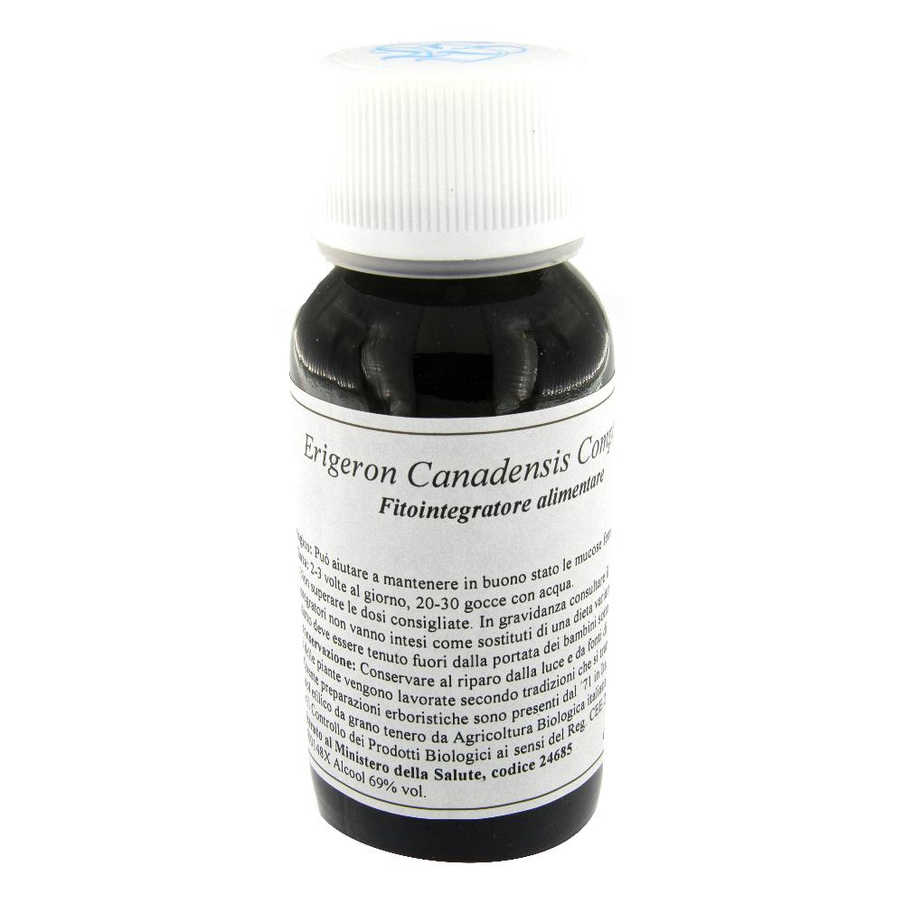 85C ERIGERON CANADENSIS COMP LVS