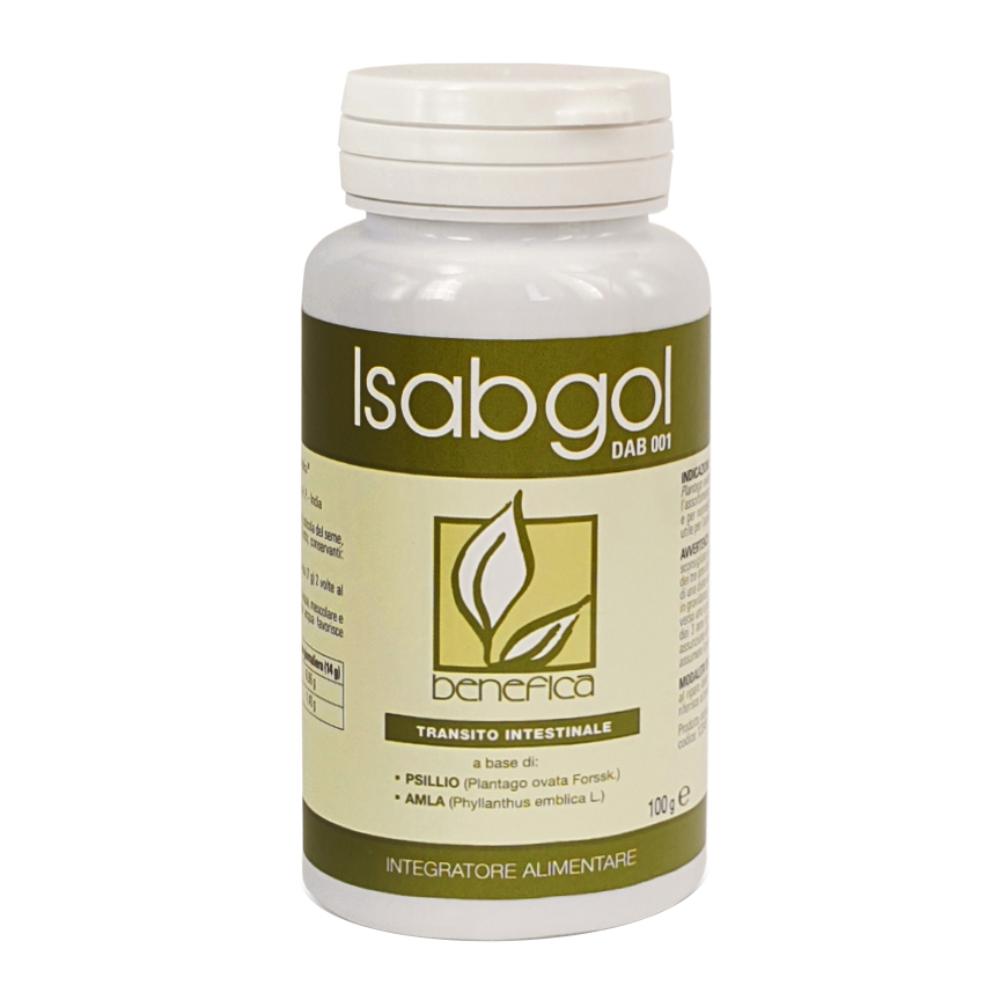 DAB 001 POLV ISABGOL 100G