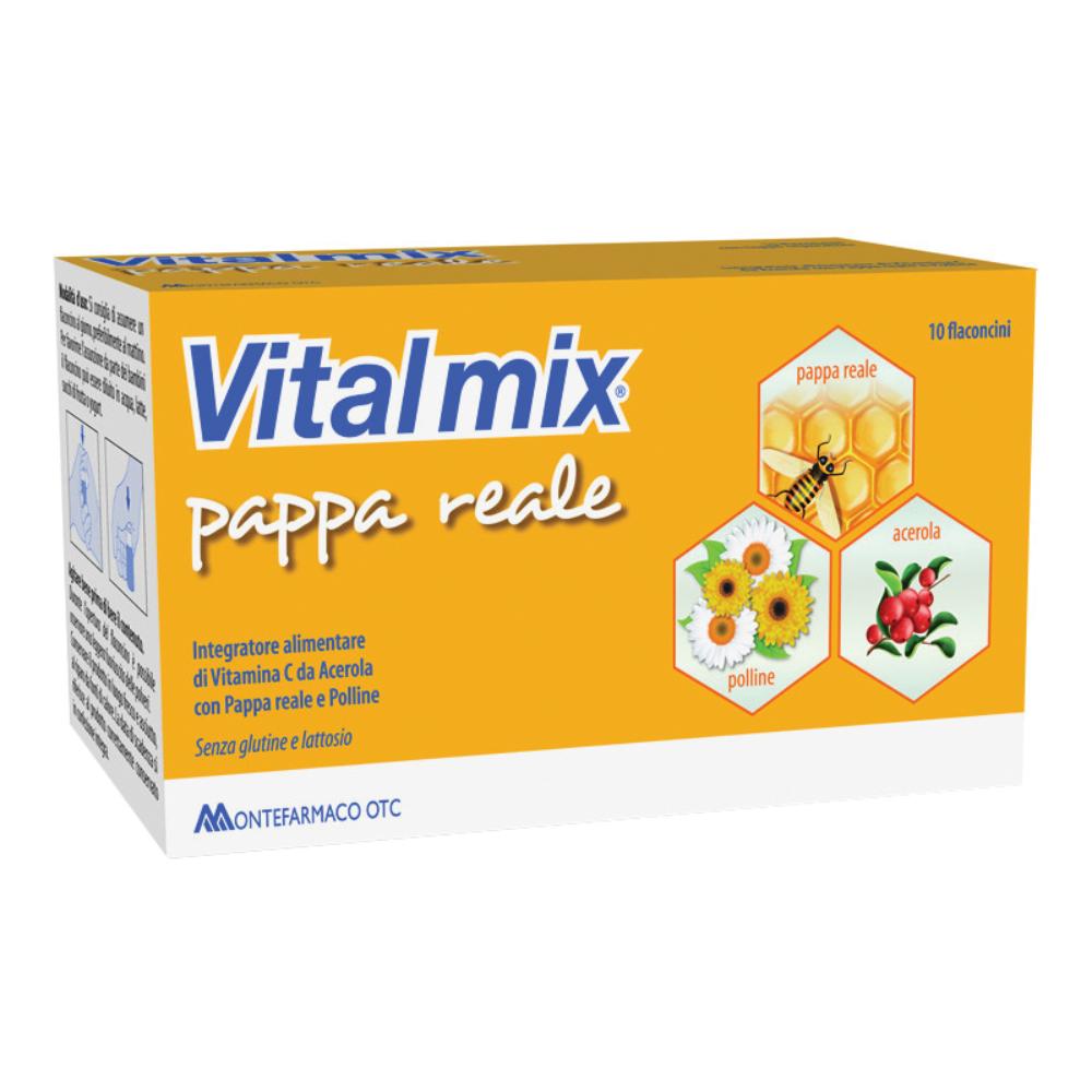 Vitalmix pappa reale 10 flaconcini 10 millilitri