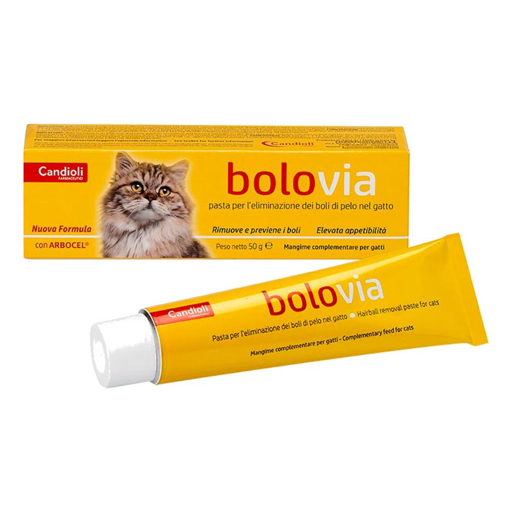 BOLO VIA PASTA GATTI 50G