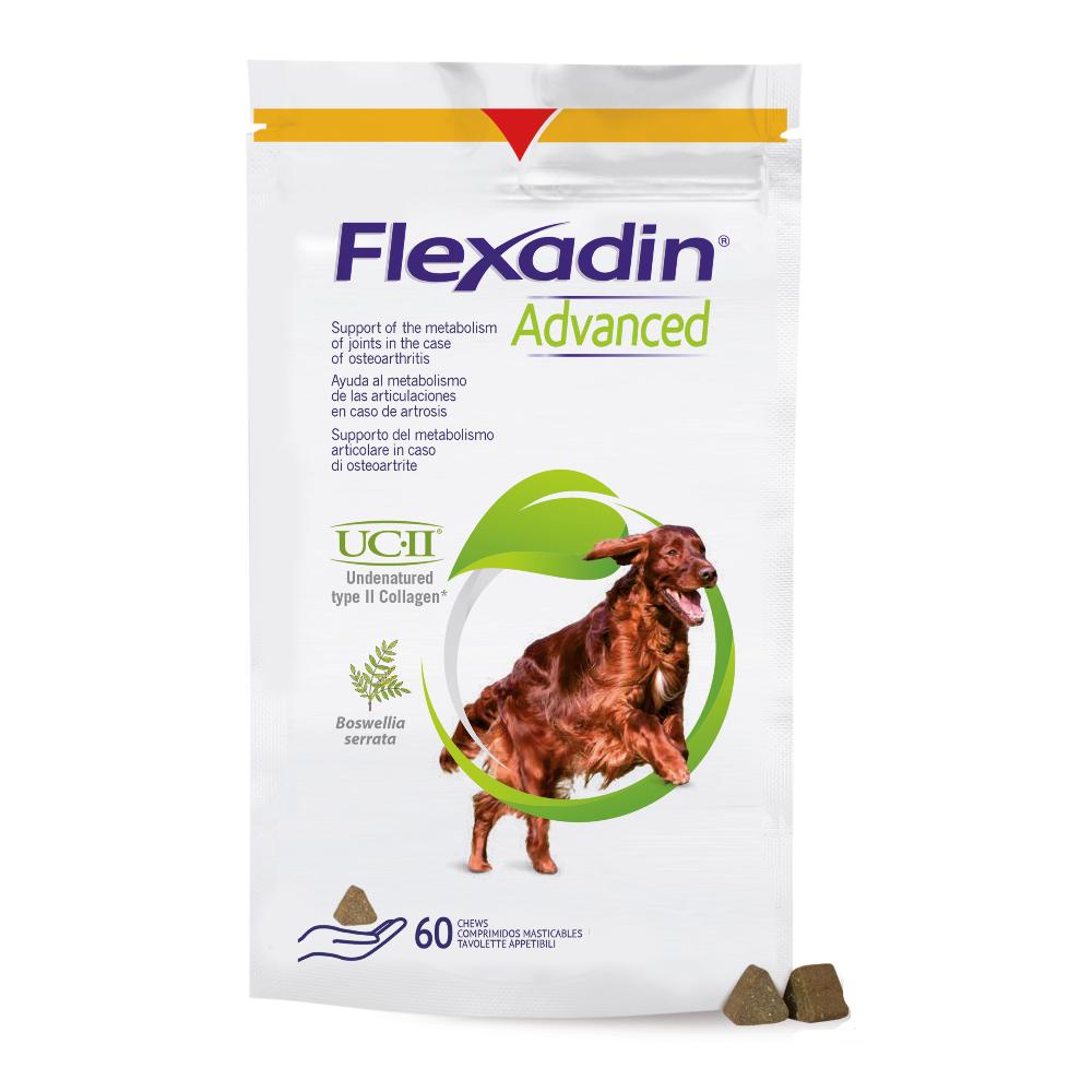 FLEXADIN ADVANCED CANE 60TAV M