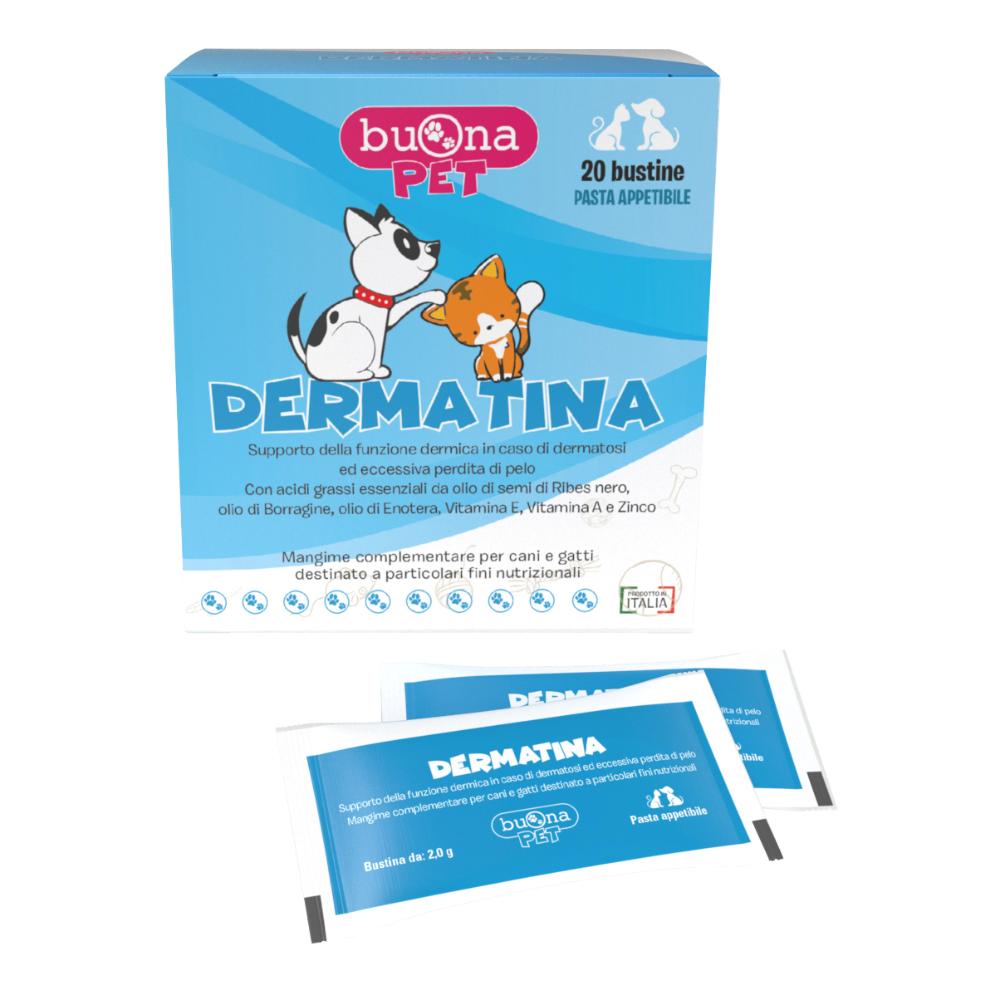 DERMATINA 40G