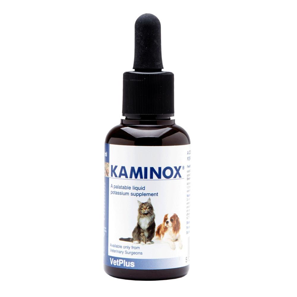 KAMINOX Sciroppo 60ml-image