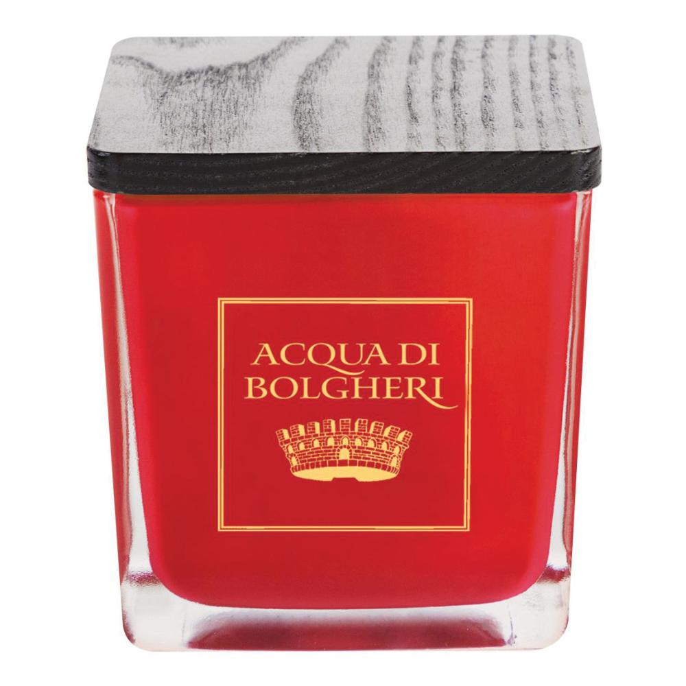 ACQUA DI BOLGHERI CANDELA PROFUMATA PAN DI ZENZERO 200 G